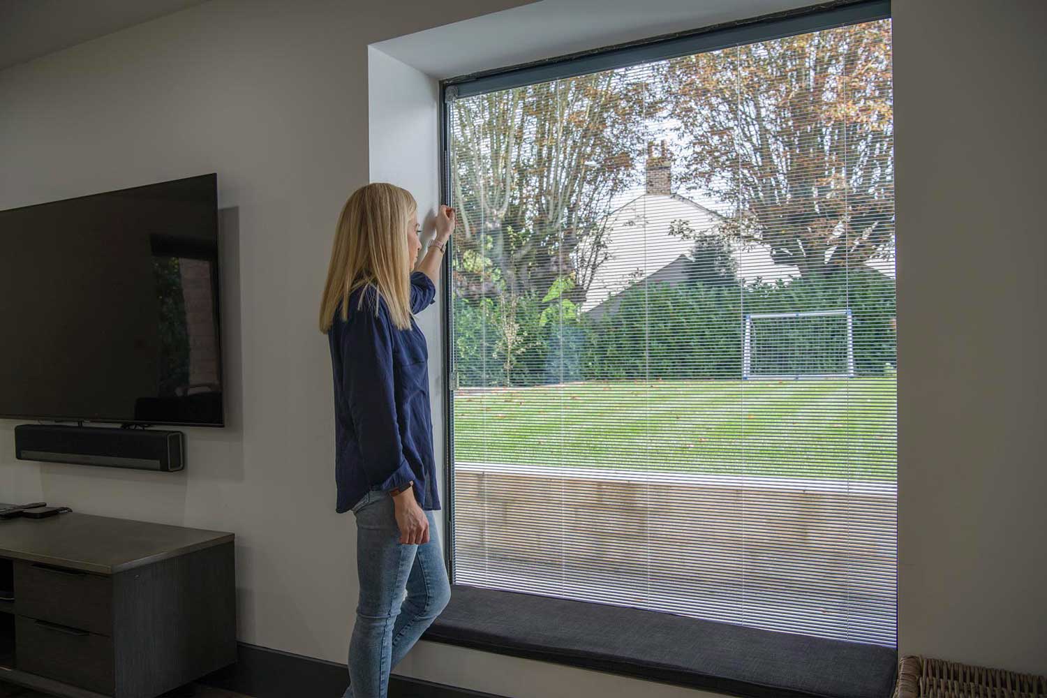 Blinds in Glass in Hatfield: integral blinds in a living-room picture window